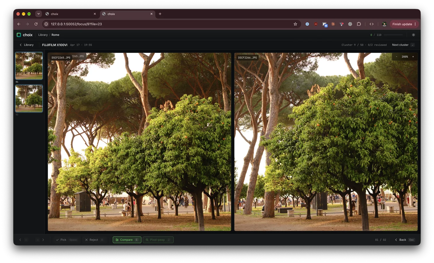 Compare mode in choix: two almost identical photos of the same orange tree side by side at 200% zoom