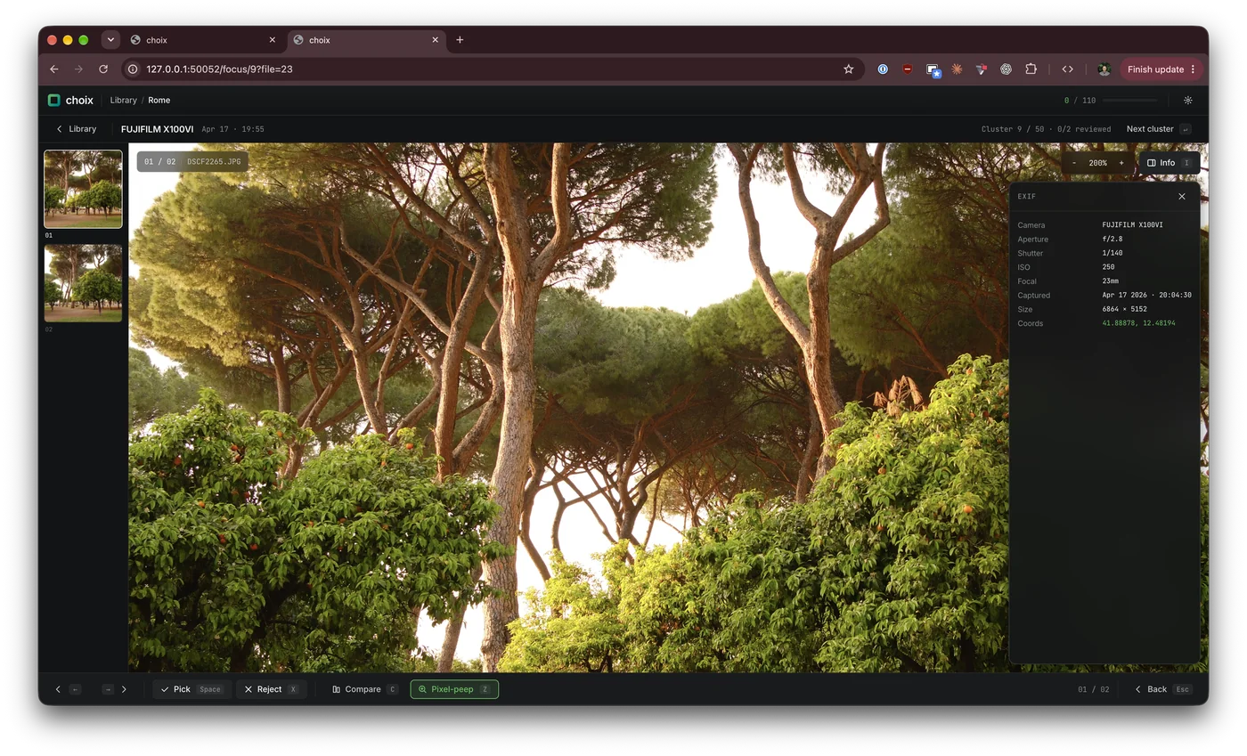 Focus mode in choix: a photo of pine and orange trees zoomed to 200%, with the EXIF panel and the other photo of the cluster on the left